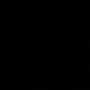 Meet your Posher, Brie